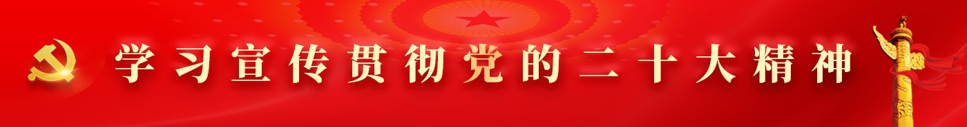 學(xué)習(xí)宣傳貫徹黨的二十大精神